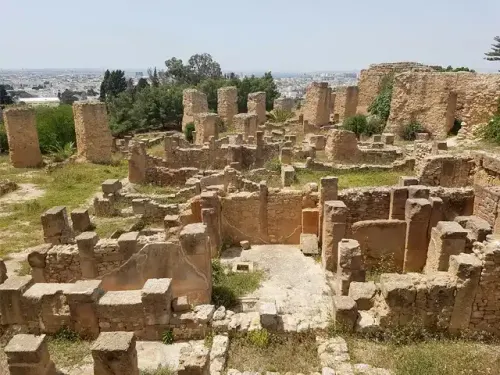 Carthage cité punique