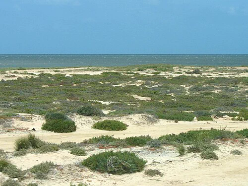 Djerba