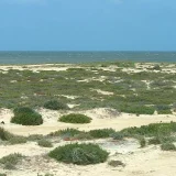 Djerba