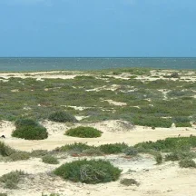 Djerba