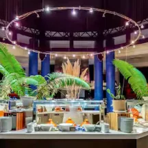 H Radisson Blu bars & restos