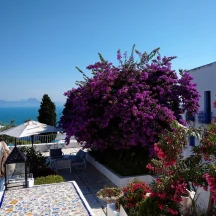 Hotel-Dar-Saïd-Sidi-Bou-Saïd-Tunisie-arbre-en-fleurs